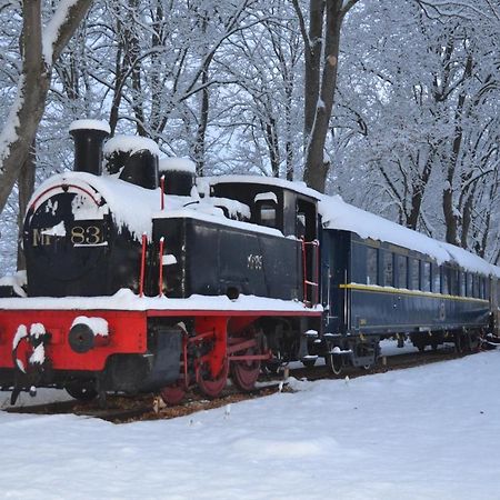 Отель Le Train Des Reves Dracy-Saint-Loup Экстерьер фото